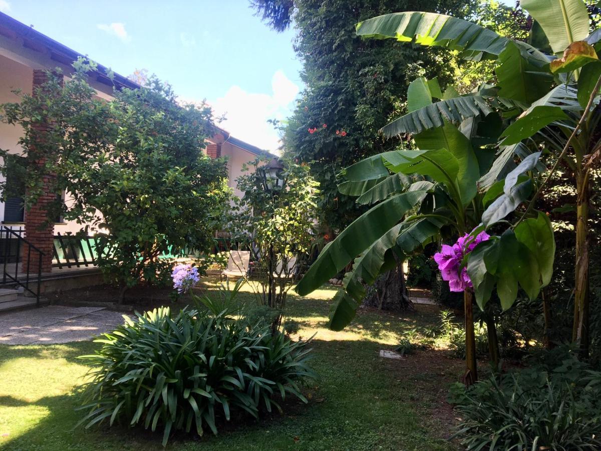 Casa Vacanze Gabbianella Villa Con Giardino Lungolago Maderno Toscolano-Maderno Exterior foto